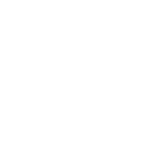 BUFEY DIA 800 POUF 3783