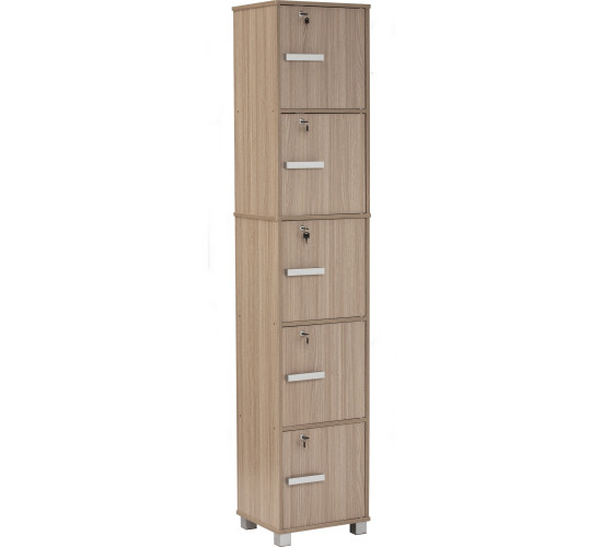 NAOMI 5 DOOR STORAGE BOX WITH LOCK EBONNESE
