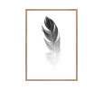 SMALL SOFT FEATHER PRINTED ART IN OAK FRAME (#)