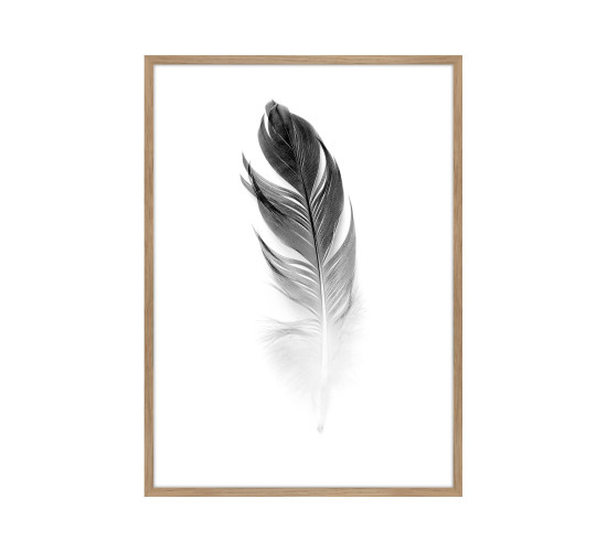 SMALL SOFT FEATHER PRINTED ART IN OAK FRAME (#)