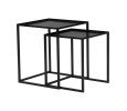CARIAD NEST OF 2 COFFEE TABLE SET 802 (#)