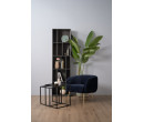 CARIAD NEST OF 2 COFFEE TABLE SET 802 (#)