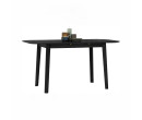 WOYER 750X1200+300 EXT DINING TABLE 114
