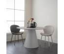NAVON DINING CHAIR MATT GREEN/80012 (#)