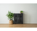 HASTING 2 DOOR SHOE CABINET BLACK