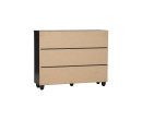 HASTING 3 DOOR SHOE CABINET BLACK