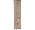NAOMI 5 DOOR STORAGE BOX WITH LOCK EBONNESE