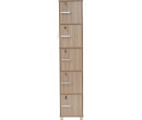NAOMI 5 DOOR STORAGE BOX WITH LOCK EBONNESE