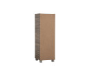 CODEY 3 DOOR STORAGE BOX WITH LOCK & LEG SILVER/FLETON OAK