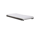 PULL OUT BED WITH 1900MM SIDE RAIL 117