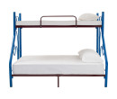LIVIA BUNK BED WITH 1900MM SIDE RAIL COLOURFUL