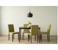 AMOS 1+4 DINING SET 117/PICKLE