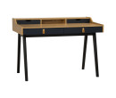 CASTOR WORKING DESK 114/102/1325