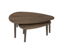 PANRA SET OF 2 COFFEE TABLE 109/113