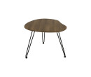CORWIN LARGE COFFEE TABLE 802/109