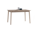 STARK 750X1200 DINING TABLE 111/168