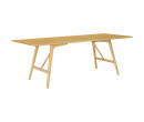 FIDEL 950X2200 RECTANGLE TABLE 112 (#)