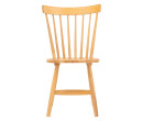 DANA DINING CHAIR 102