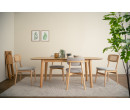 ARLO DINING CHAIR