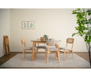 ARLO DINING CHAIR