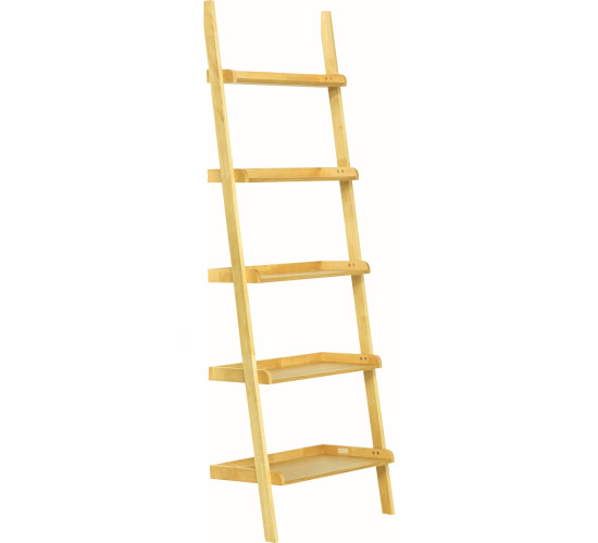 MILT LEANING BOOKCASE 102