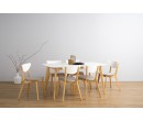 AIMON 900X1500 DINING TABLE 102/130