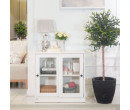 MONETA LOW CABINET C80C WHITE CLEAR GLASS (PRE ORDER : 20 DAYS)