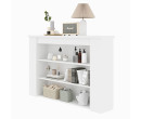 MONETA LOW CABINET C120 FIREPLACE WHITE (PRE ORDER : 20 DAYS)