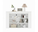 MONETA LOW CABINET C120 FIREPLACE WHITE (PRE ORDER : 20 DAYS)