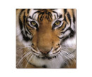 TIGER PRINTED PICTURE