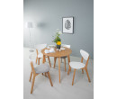 NAIDA DINING CHAIR 102/130/130