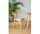 ZELIG DINING CHAIR 102/6118