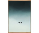 SMALL SEAGUL BLUE PRINTED ART IN OAK FRAME  (#)