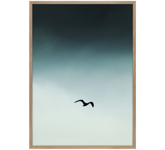 SMALL SEAGUL BLUE PRINTED ART IN OAK FRAME  (#)