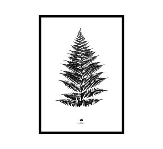 SMALL FERN BLACK PRINTED ART IN BLACK FRAME (#)