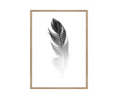 SMALL SOFT FEATHER PRINTED ART IN OAK FRAME (#)