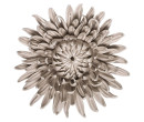 DECO CHRYSANTHEMUM (#)